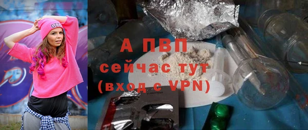 винт Верея